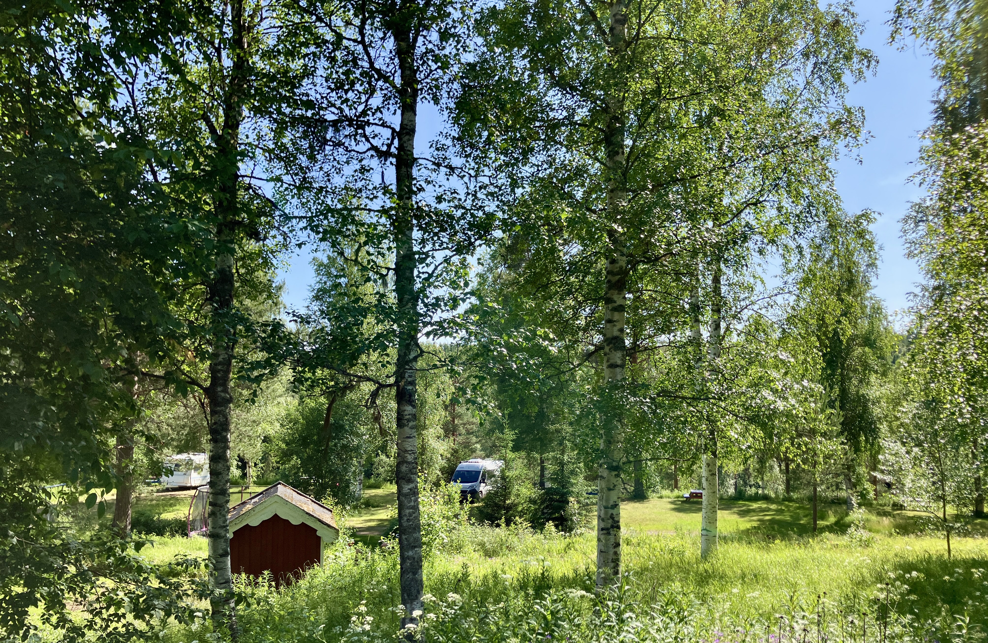 Wohnmobilstellplatz: camping - Björsarv Camping