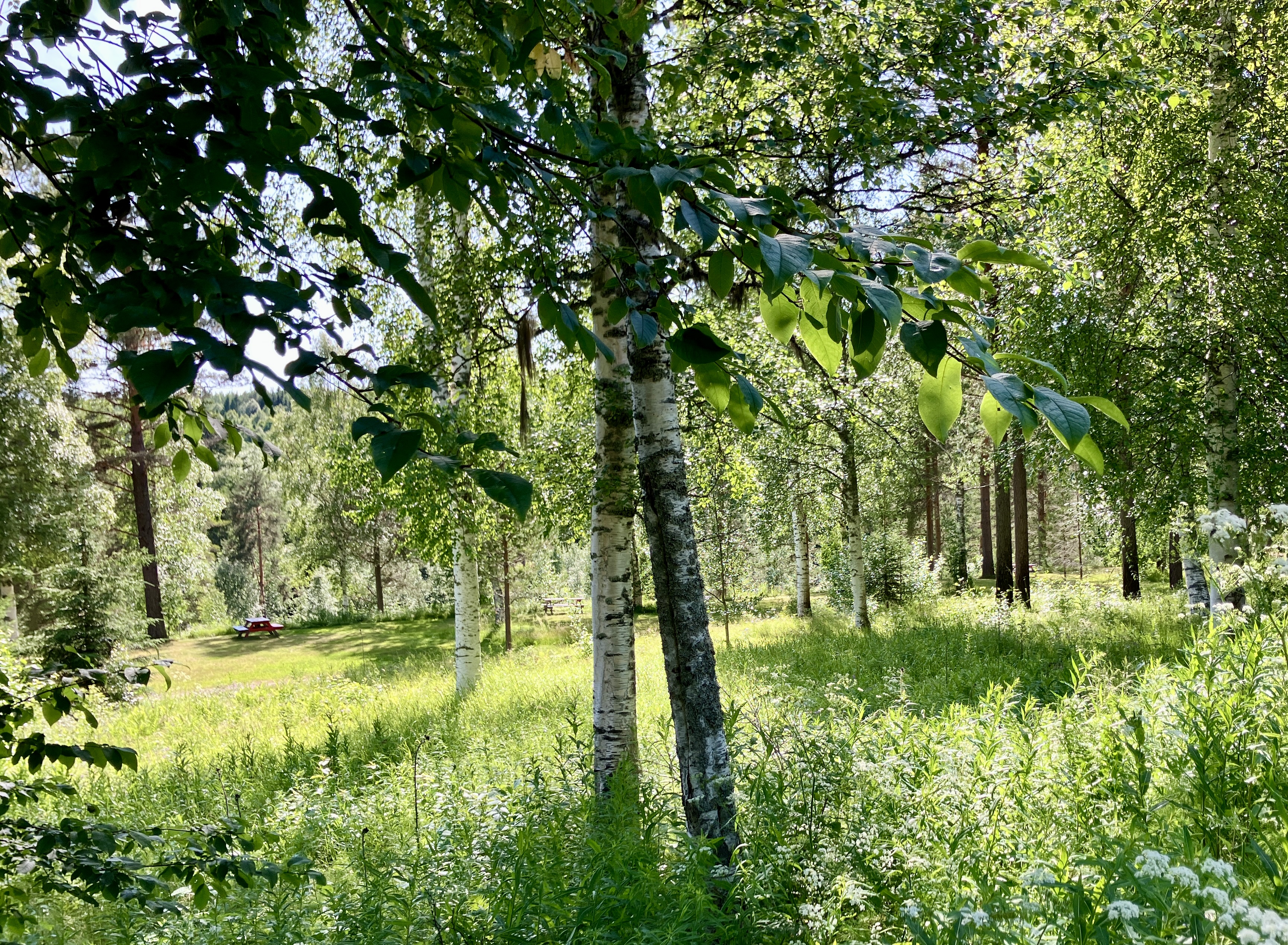 Wohnmobilstellplatz: camping - Björsarv Camping