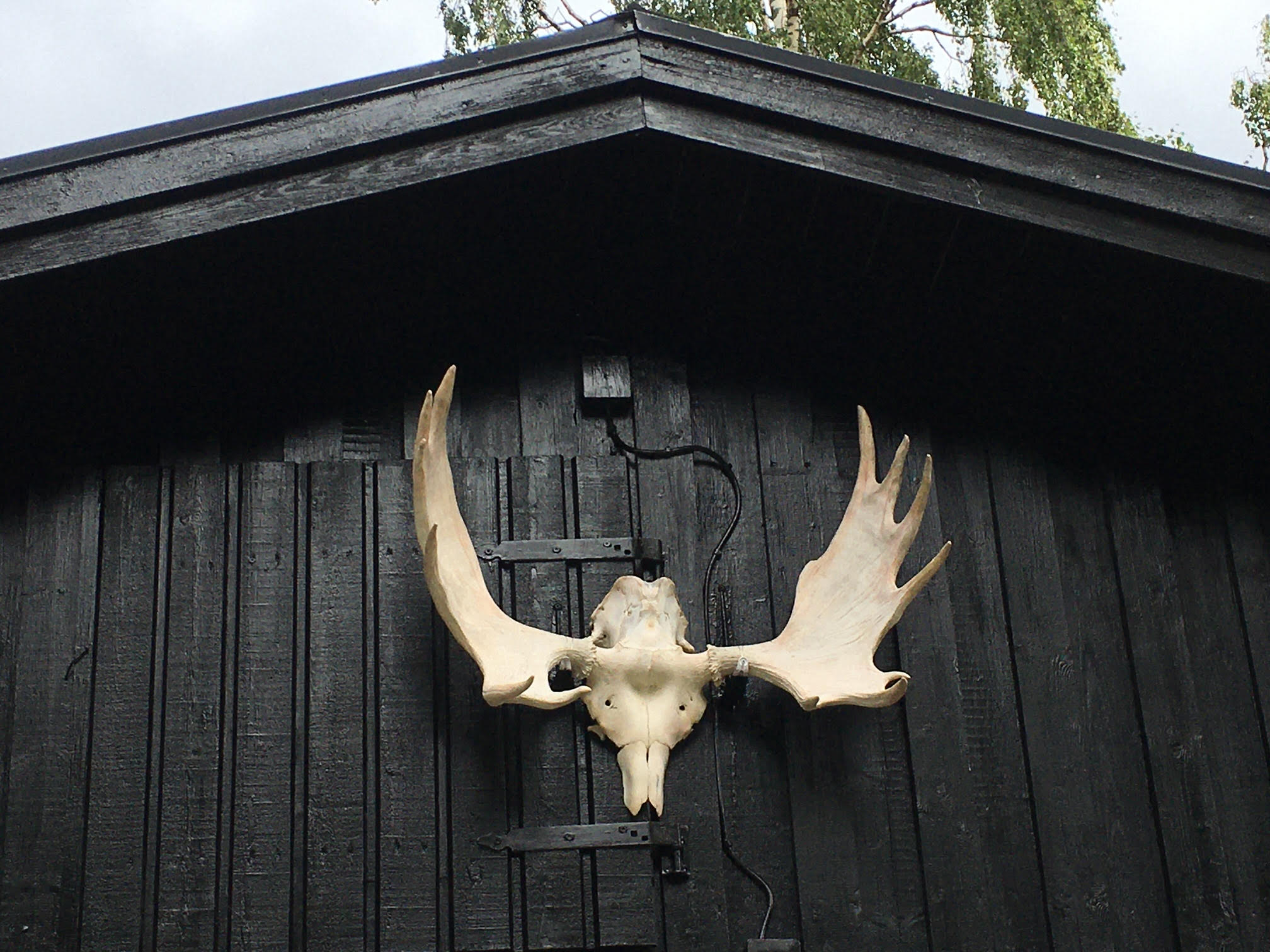 Wohnmobilstellplatz: Diensthaus - Hammarstrands Camping.