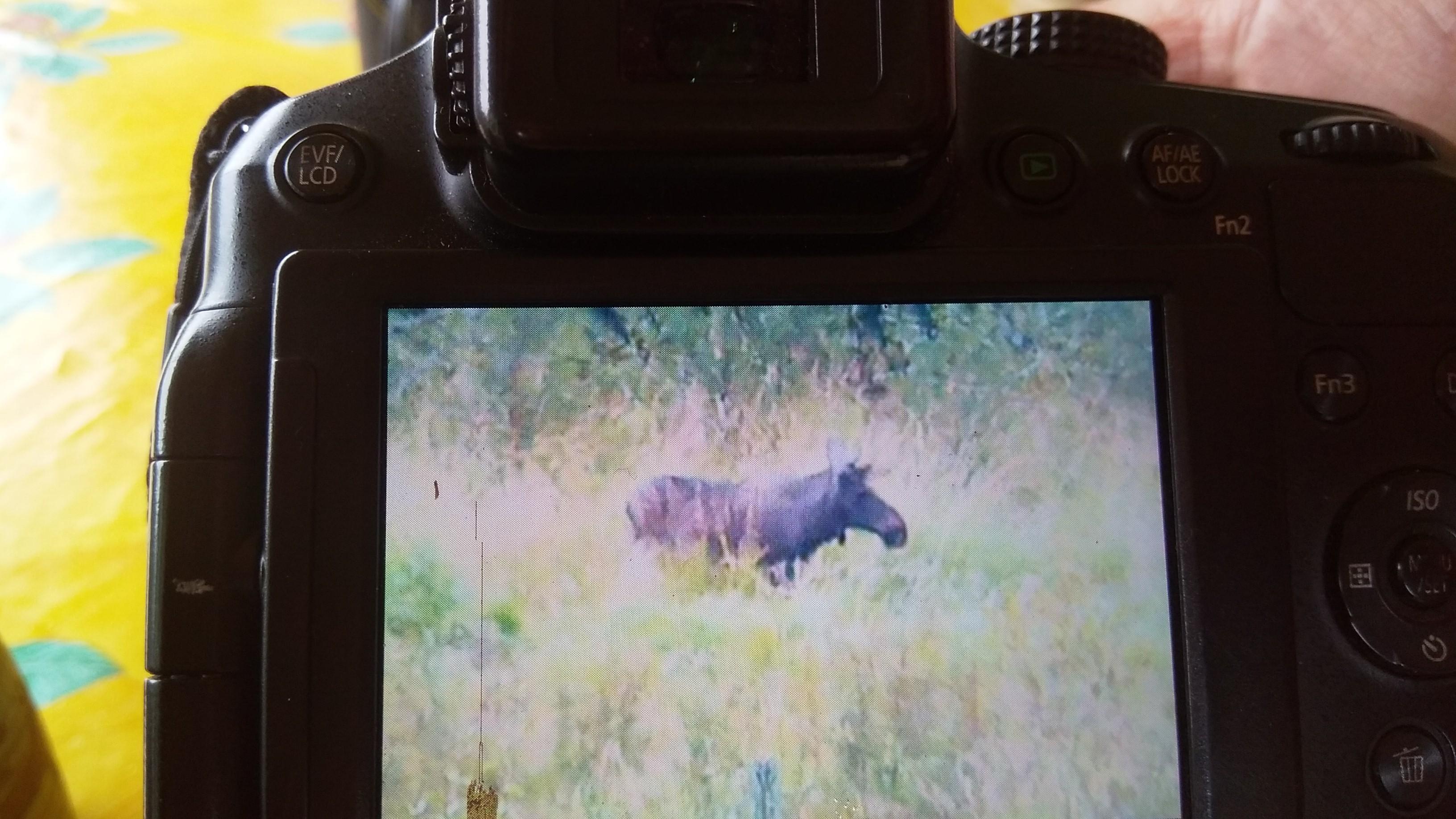 Wohnmobilstellplatz: Steffensgard.