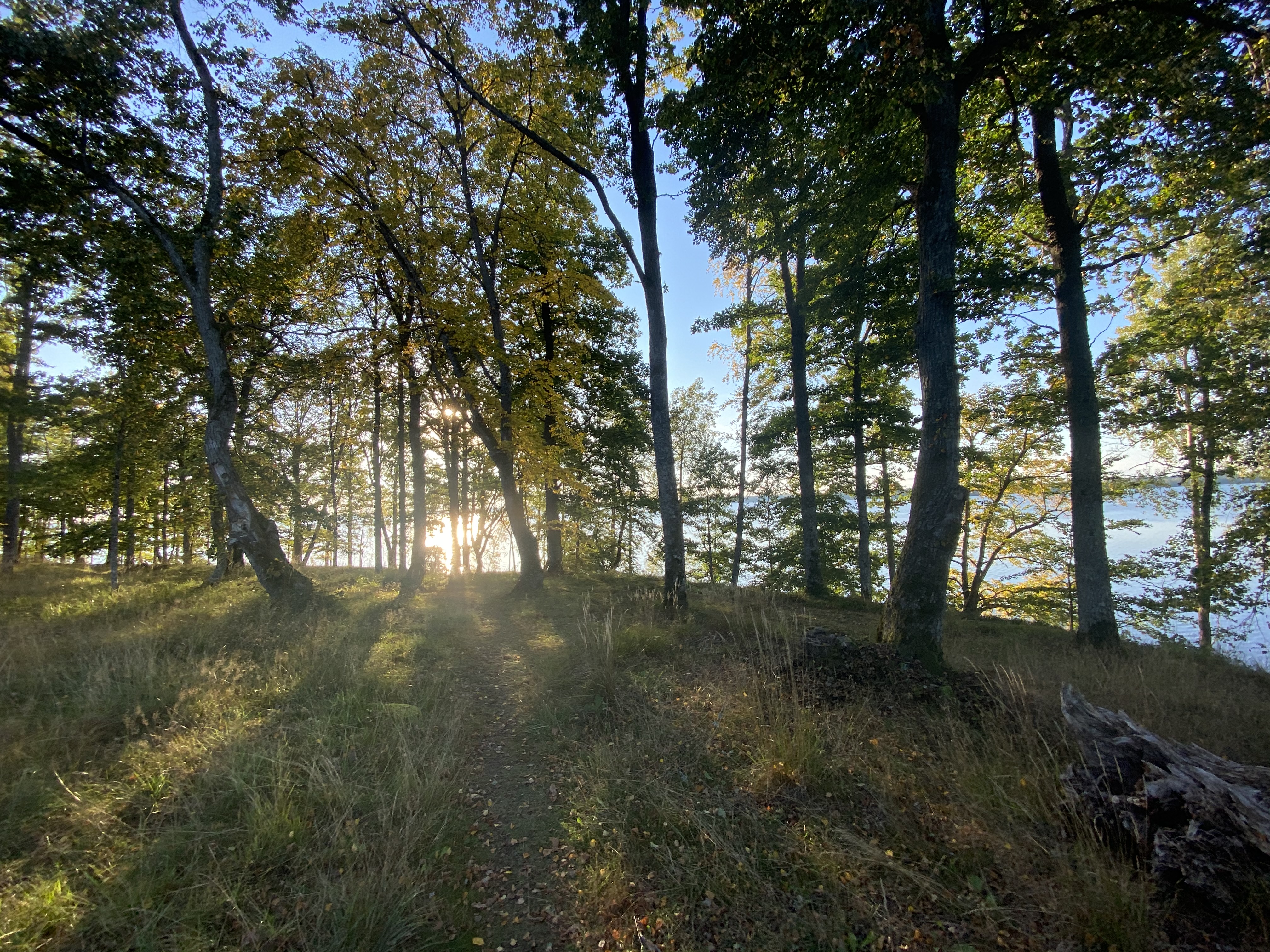 Wohnmobilstellplatz: Skeda Strand