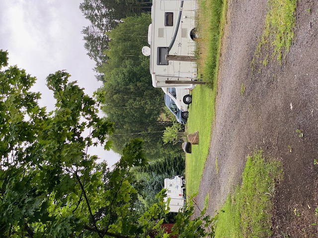 kampeerplaats voor campers - Hunde erlaubt: Hunde erlaubt - Zweden - camperplaatsen vanaf ons bos (achterzijde) gezien - Hornsborg Mobi-Camp