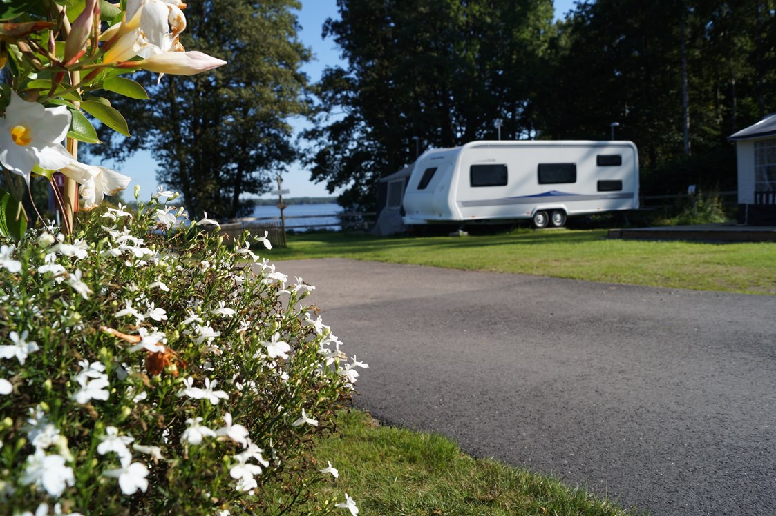 Wohnmobilstellplatz: Campingplätze Tingsryd Resort - Tingsryd Resort