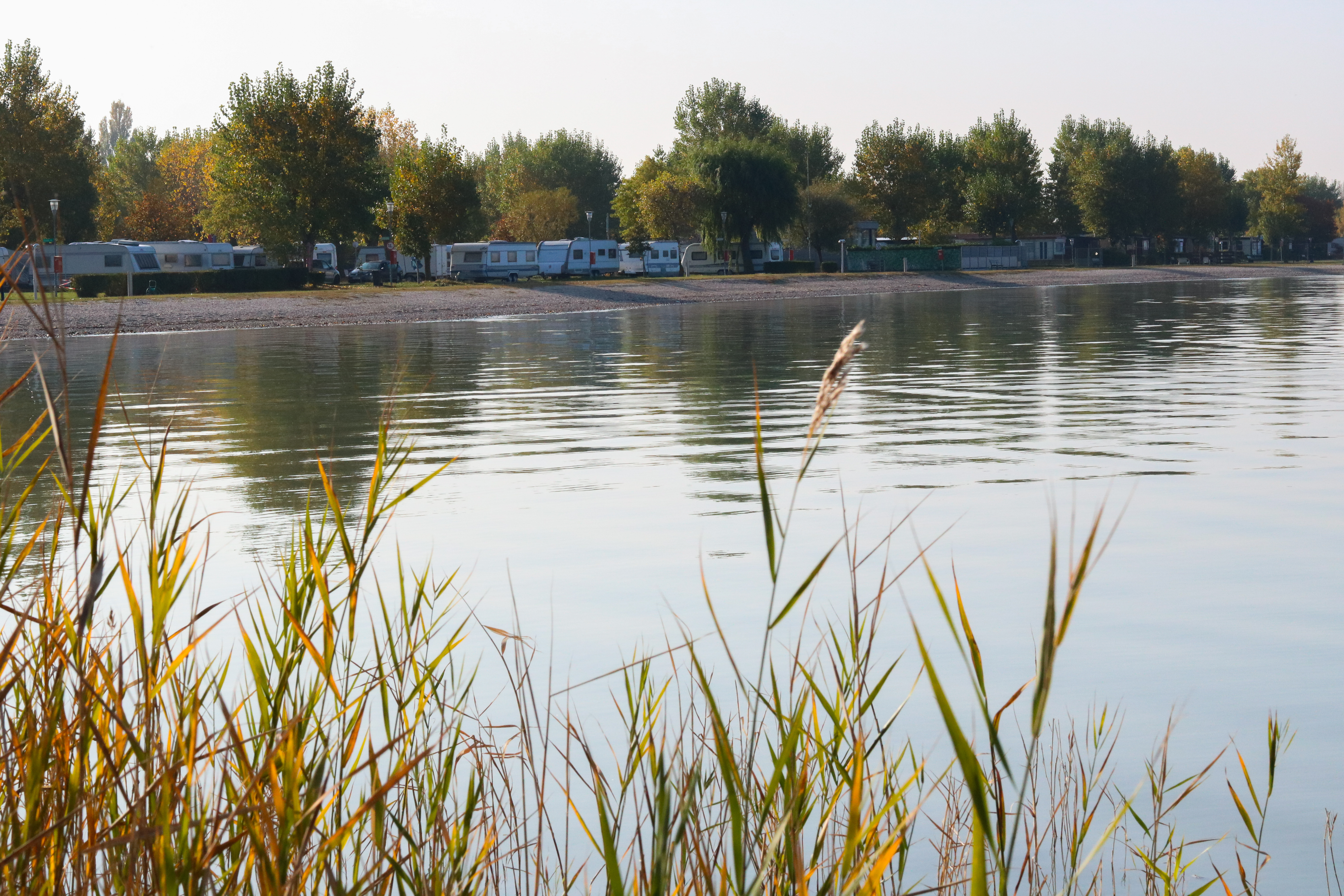 Wohnmobilstellplatz: Strandcampingplatz Herbst - Strandcamping Podersdorf am See