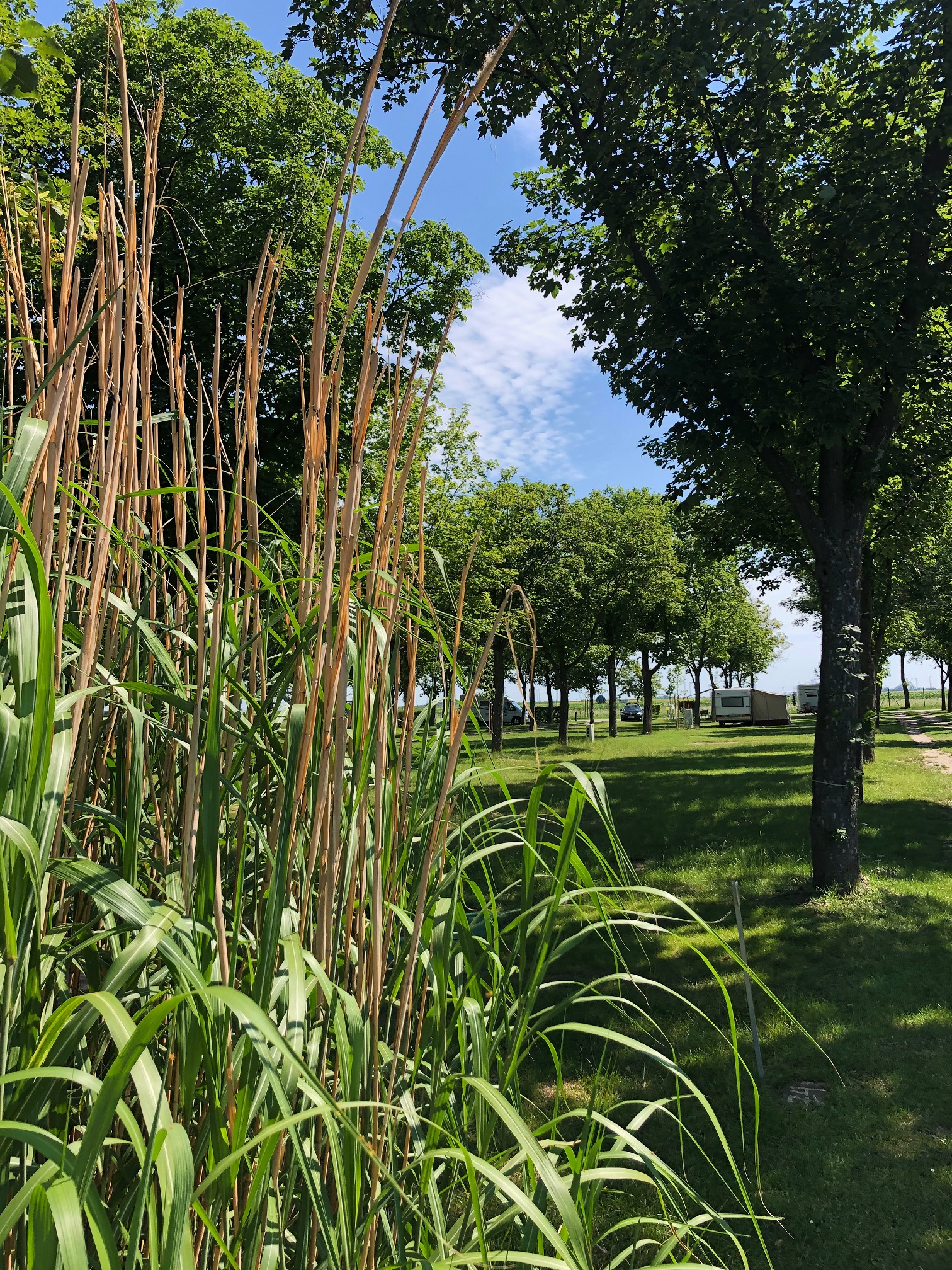 Wohnmobilstellplatz: Camping Zicksee