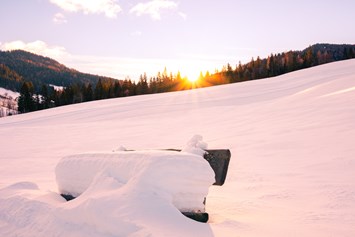 Wohnmobilstellplatz: Umgebung im Winter - Alpengasthaus Moser
