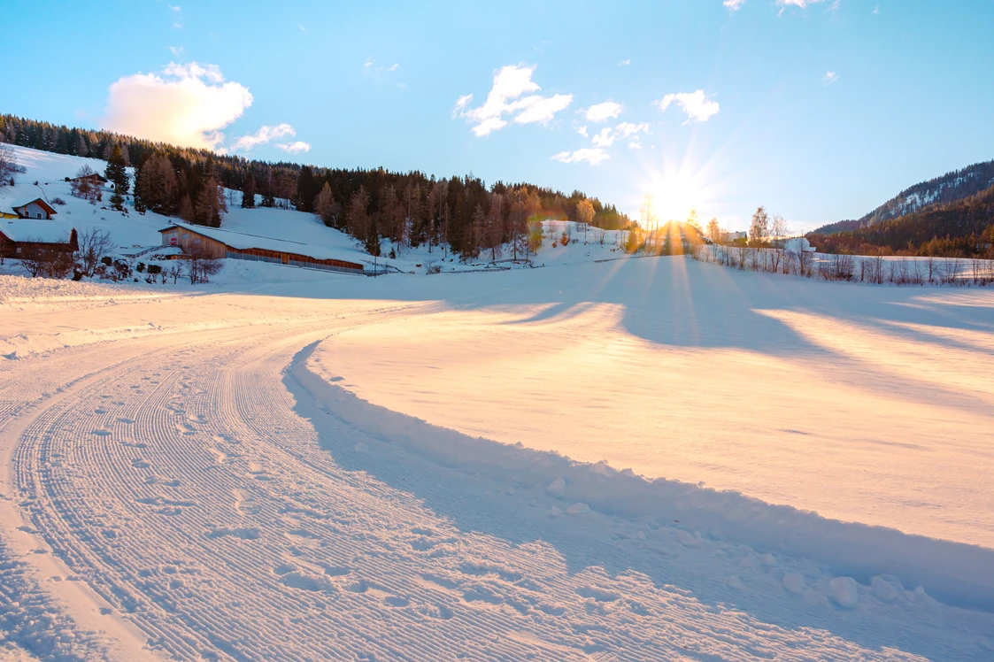 Wohnmobilstellplatz: Rodelhang im Winter - Alpengasthaus Moser