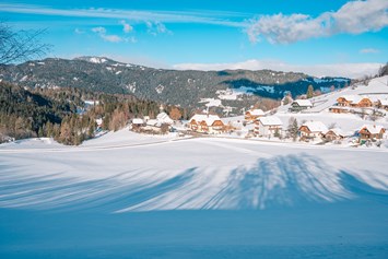 Wohnmobilstellplatz: Ort Karchau im Winter - Alpengasthaus Moser