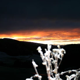 Wohnmobilstellplatz: Abendstimmung - Alpengasthaus Moser