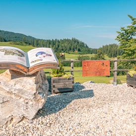 Wohnmobilstellplatz: Aussichtsplatz vor Haus - Alpengasthaus Moser