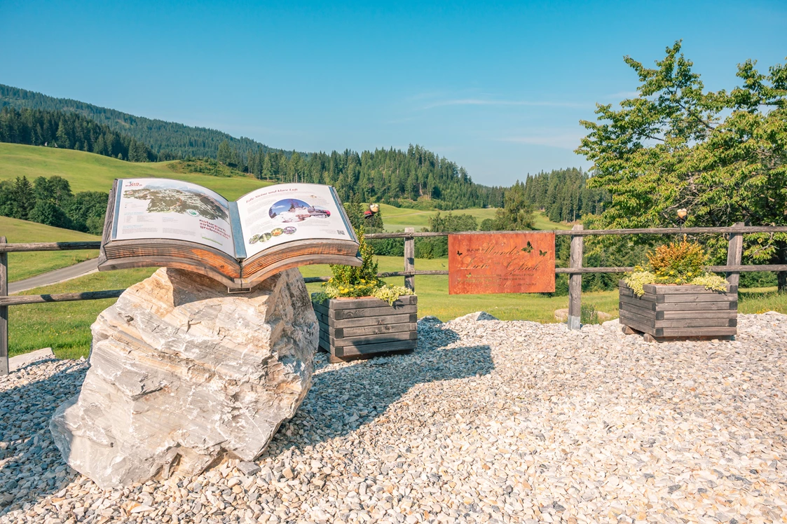 Wohnmobilstellplatz: Aussichtsplatz vor Haus - Alpengasthaus Moser