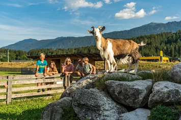 Wohnmobilstellplatz: Streichelzoo - EuroParcs Hermagor · Nassfeld