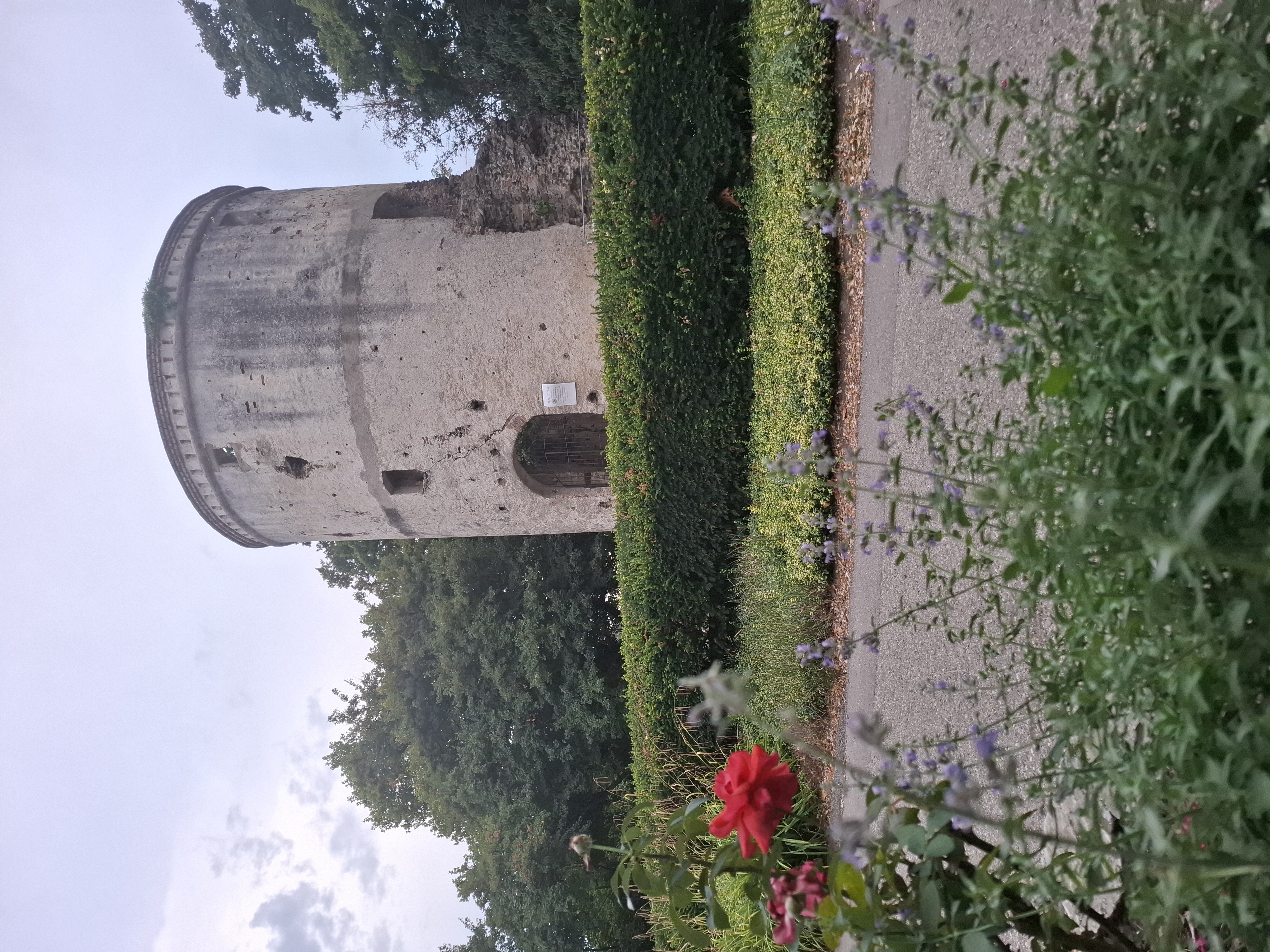 Wohnmobilstellplatz: Donaupark Camping Tulln