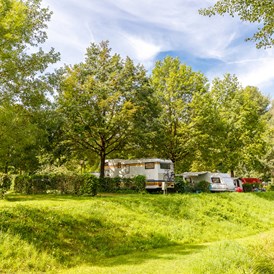 Wohnmobilstellplatz: Stellplätze unter Bäume. Teils schattig, teils sonnig.
herrlich gleich neben an die Donau - Camping & Pension Au an der Donau