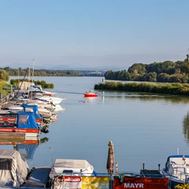 Wohnmobilstellplatz: Vorort in uns unserem Kleinod eine Marina an der Donau - Camping & Pension Au an der Donau