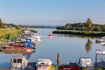 Wohnmobilstellplatz: Vorort in uns unserem Kleinod eine Marina an der Donau - Camping & Pension Au an der Donau