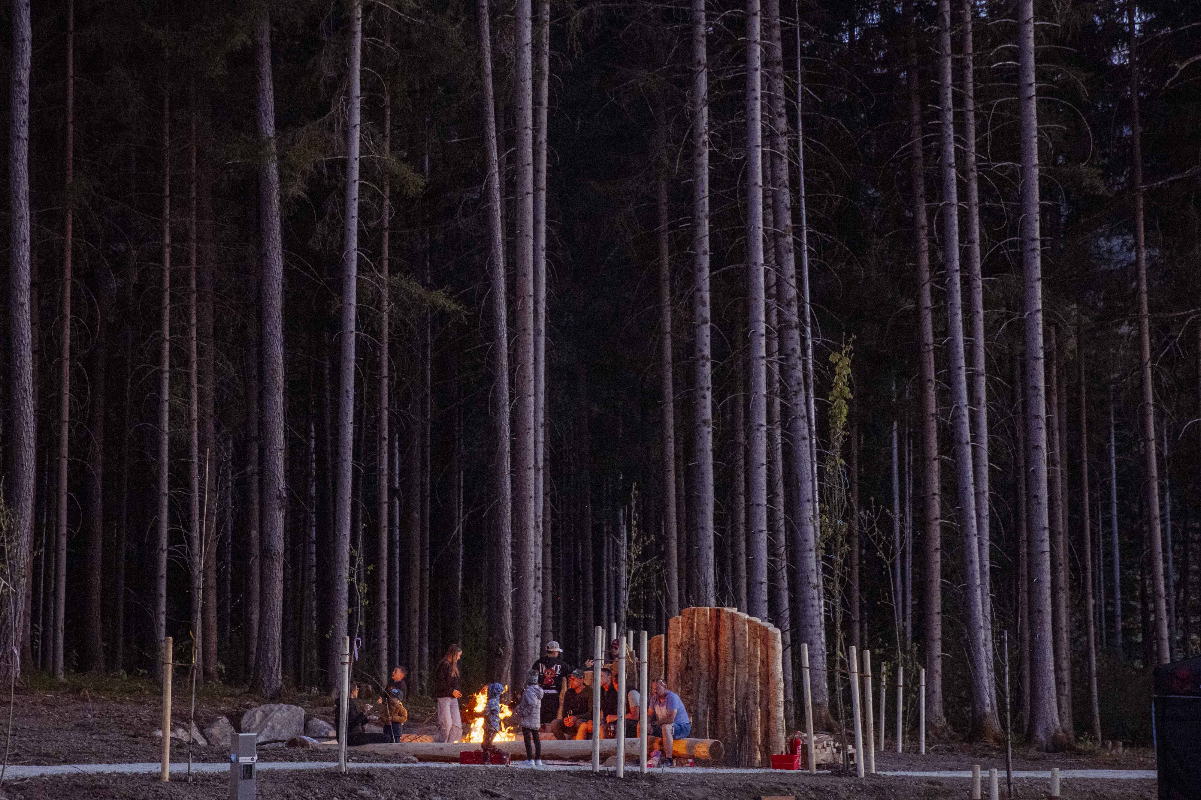 Wohnmobilstellplatz: Campingplatz Judenstein
