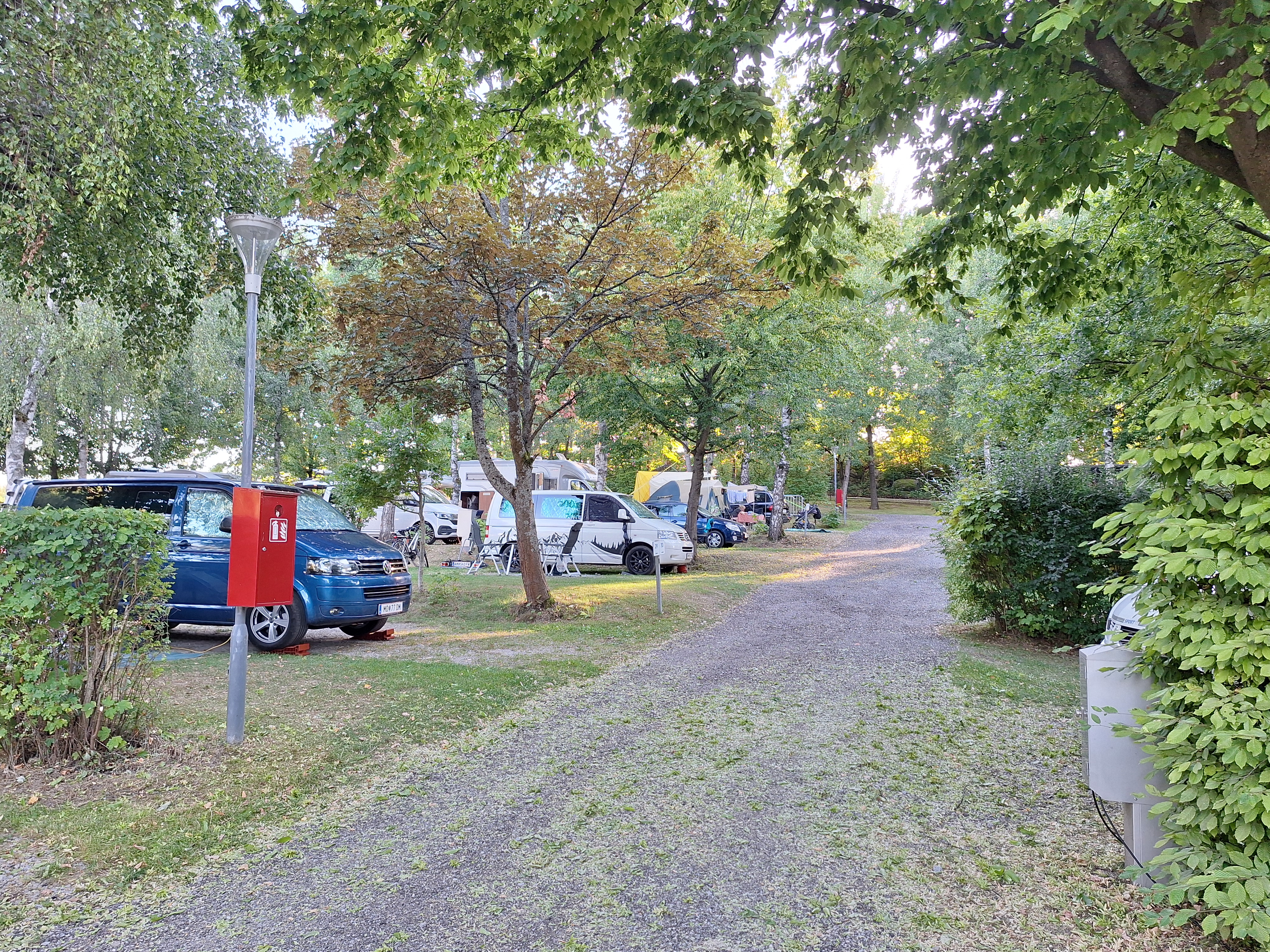 Wohnmobilstellplatz: Satempfang fast nirgends möglich, Baumwuchs zu extrem - Campingplatz beim Sole-Felsen-Bad Gmünd