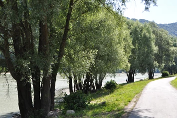 Wohnmobilstellplatz: Donau - Camping an der Donau