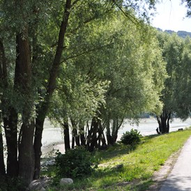 Wohnmobilstellplatz: Donau - Camping an der Donau