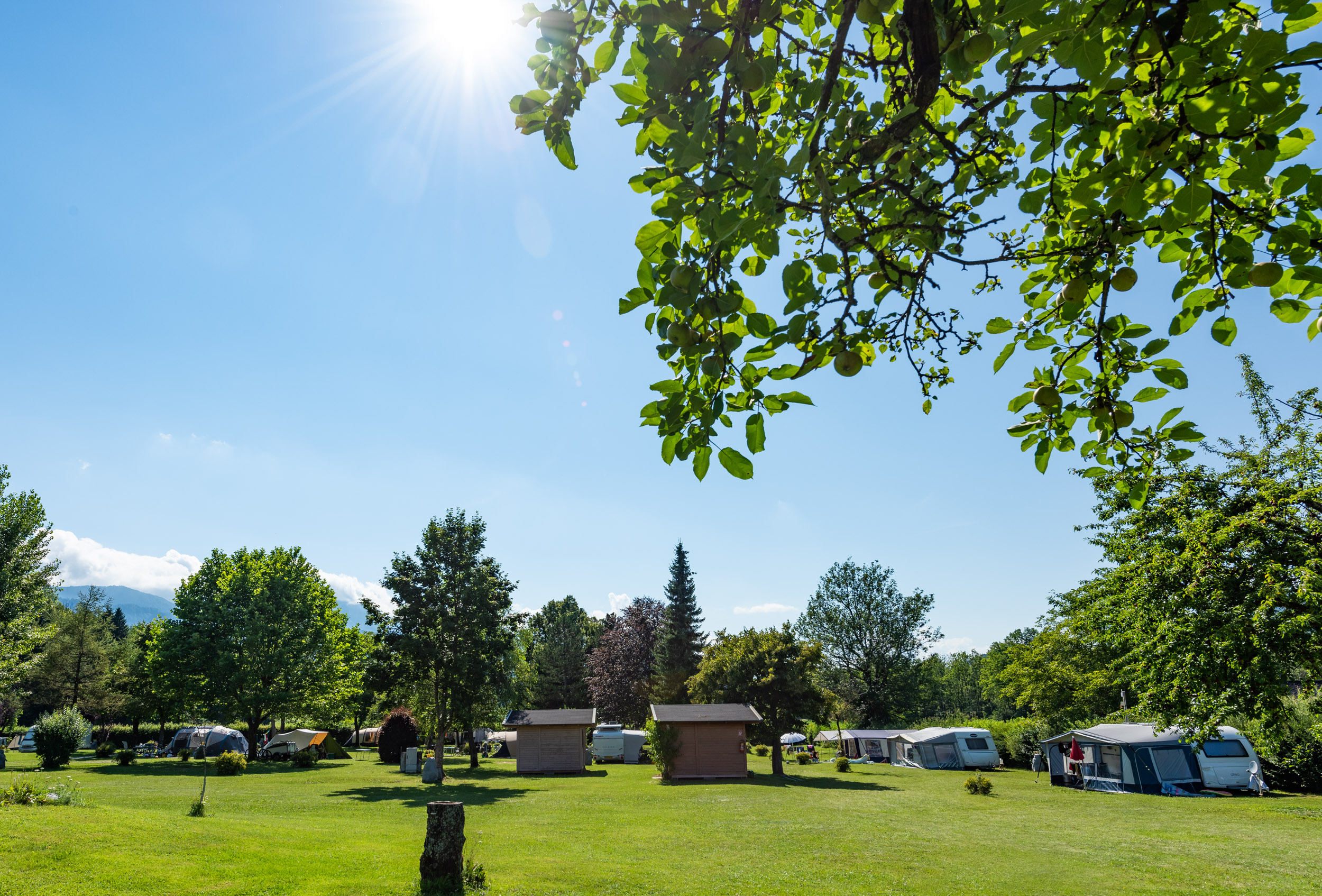 Area sosta per camper - St. Margareten im Rosental - Naturcamping - Naturcamping Juritz