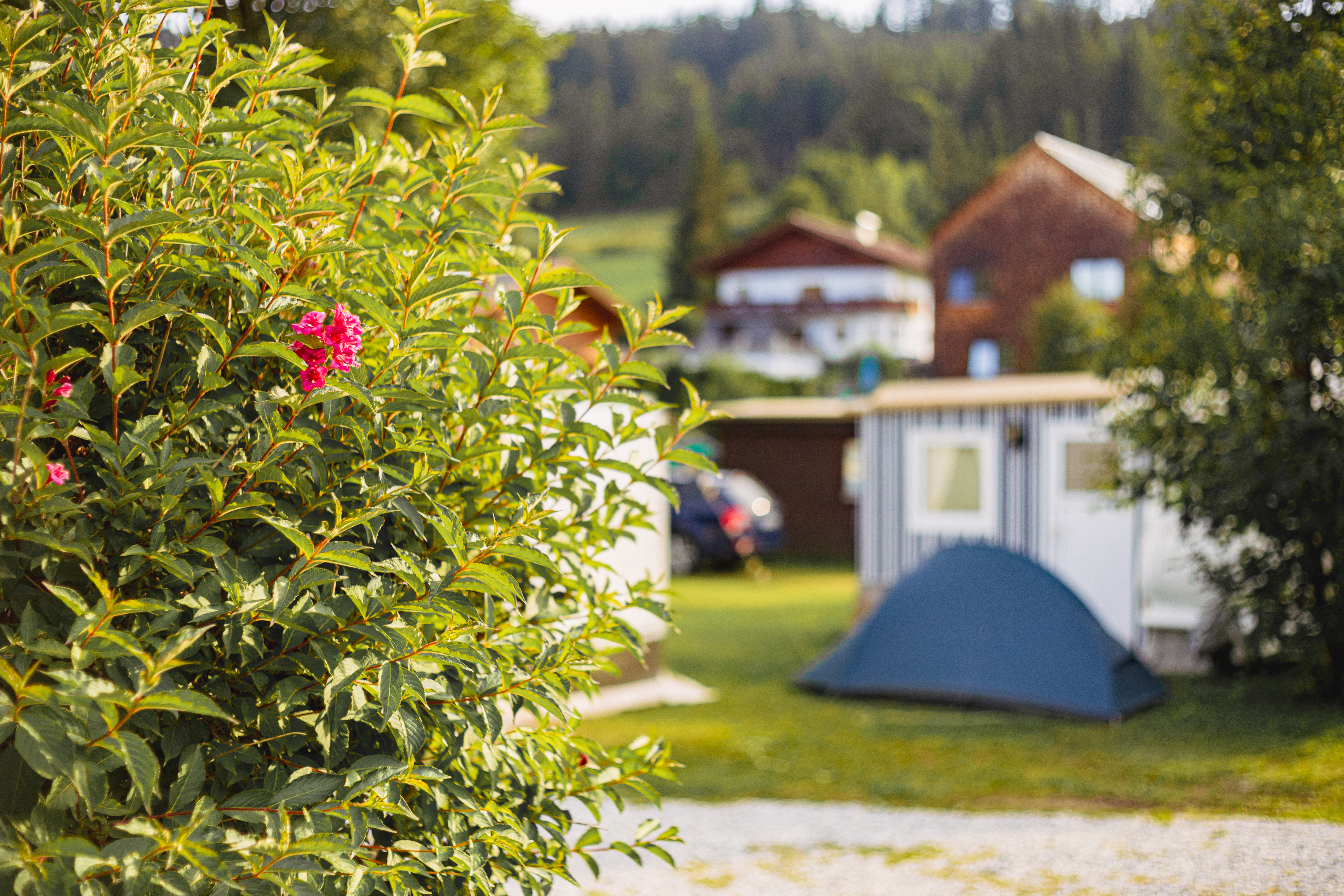 Wohnmobilstellplatz: **** Camping Passrucker