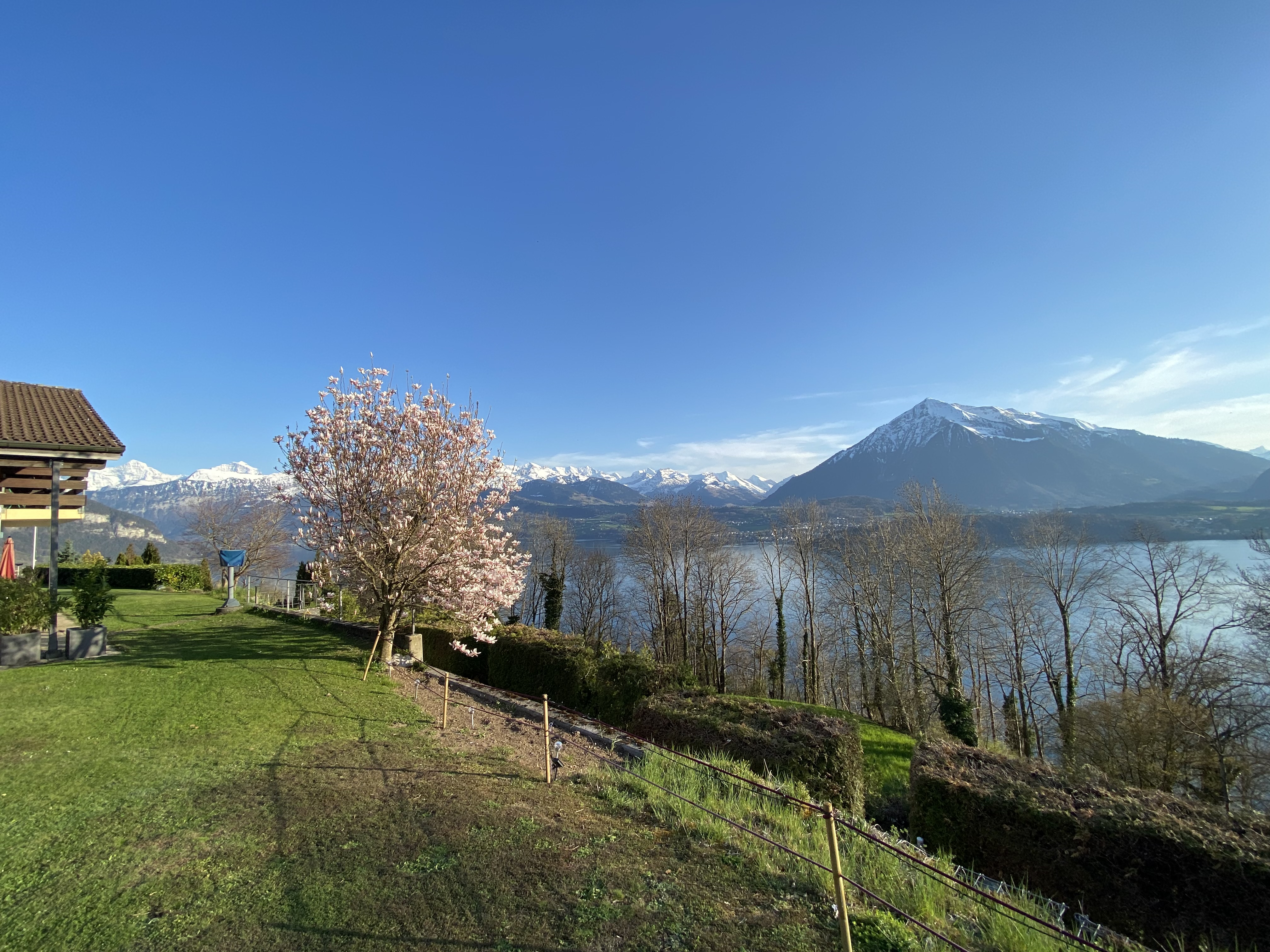 Wohnmobilstellplatz: Aussicht vom Stellplatz aus - Matti Panorama, Aeschlen ob Gunten