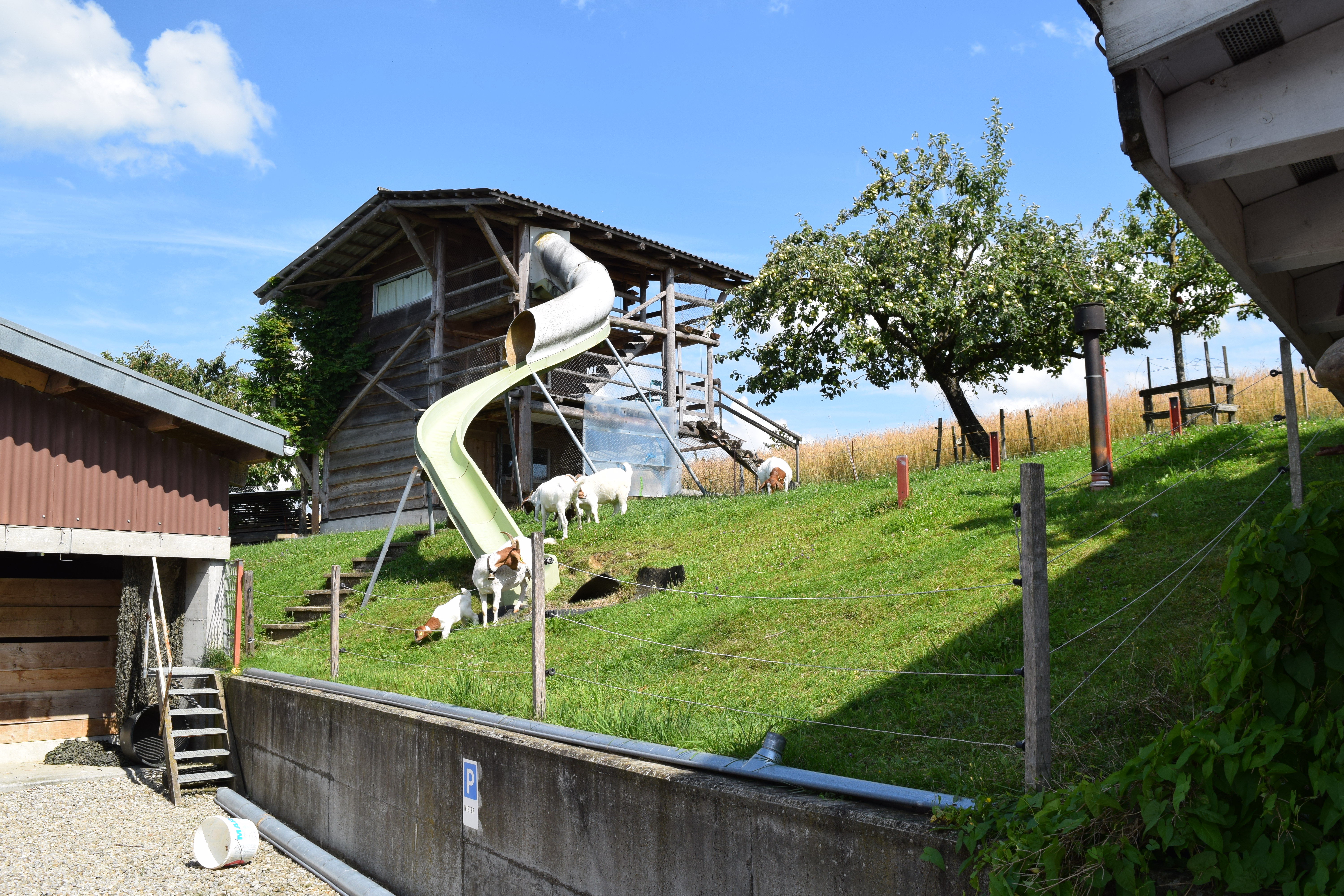 Reisemobilstellplatz - Büren an der Aare - Mutzgraben Rüedisbach