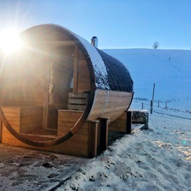 Wohnmobilstellplatz: Privat Sauna  - Hegihof Zell