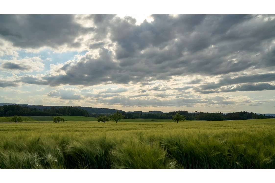 Wohnmobilstellplatz: Bauernhof zur Höhni Oberwil (Dägerlen)