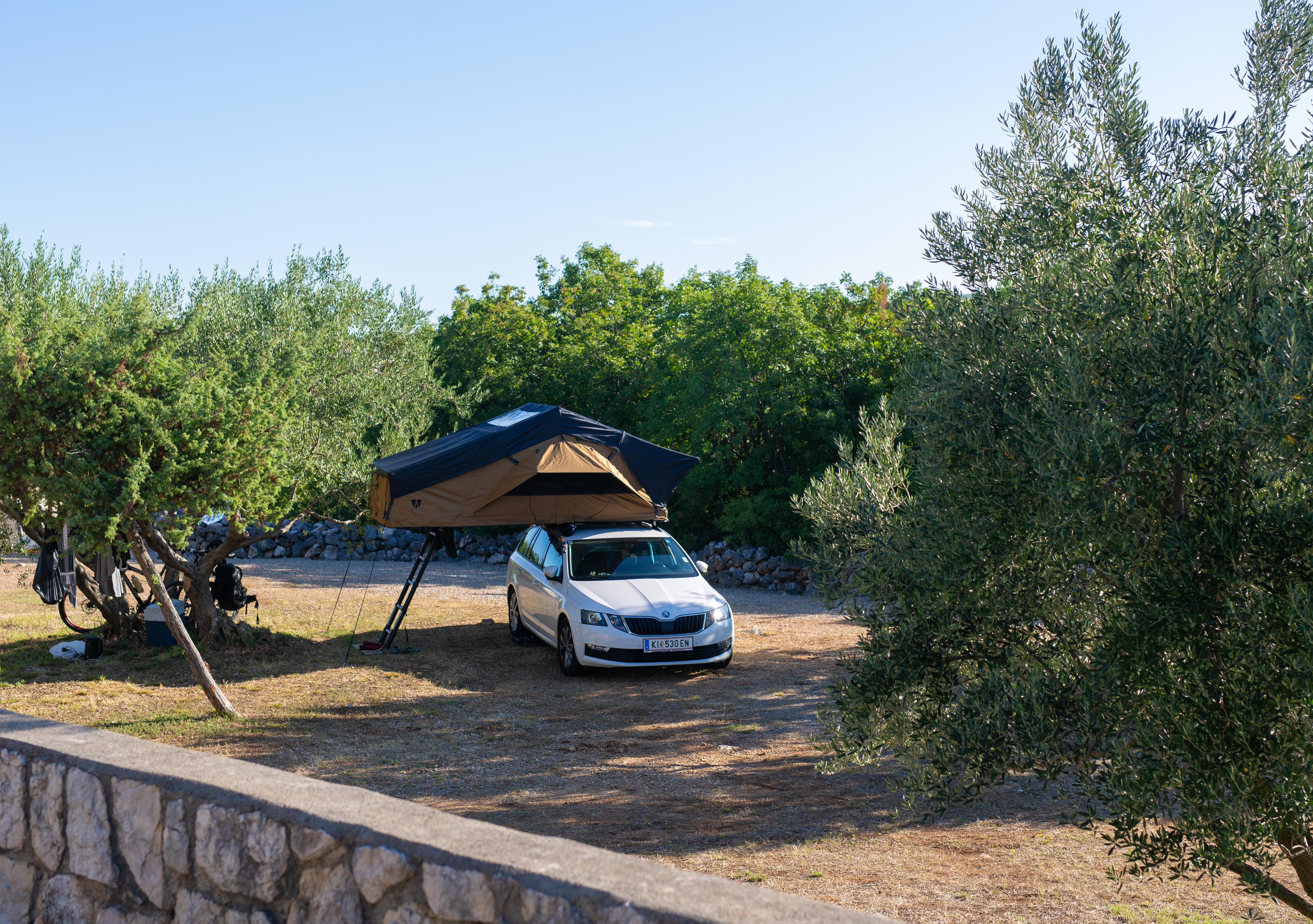 Wohnmobilstellplatz: Camping Bor