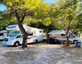 Wohnmobilstellplatz: Caming pitch - Camping Marina Nationalpark Krka