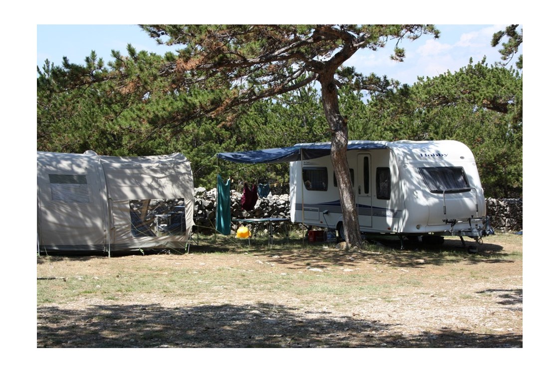 Wohnmobilstellplatz: Camping Planik