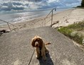 Wohnmobilstellplatz: Hunde sind am Strand nicht erlaubt🥲 - Doberani Rannamaja