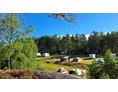 Wohnmobilstellplatz: Das große Feld, auf dem jeder seinen Platz frei wählen kann - Kilefjorden Camping
