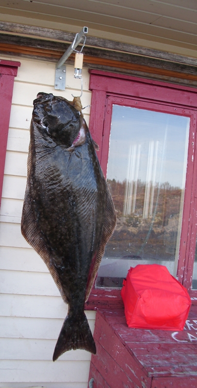 Wohnmobilstellplatz: Skjærgårdscamping