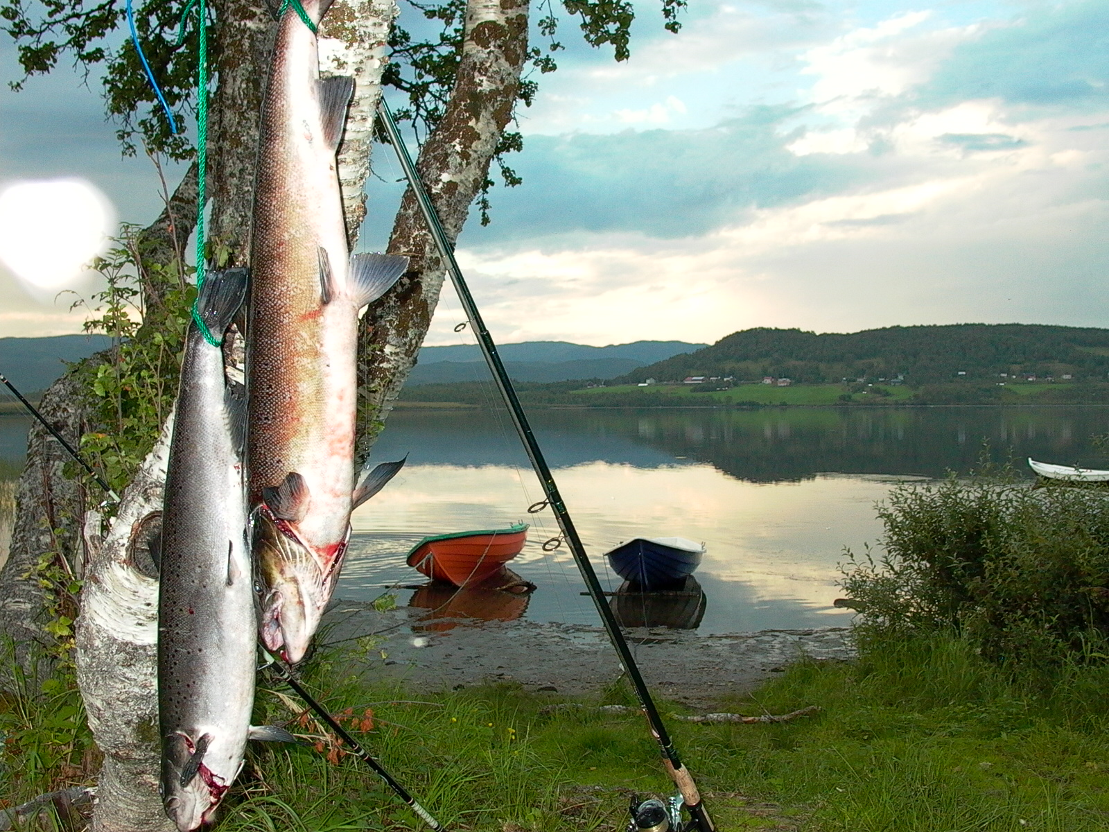 área camper - Troms - Senja Camping