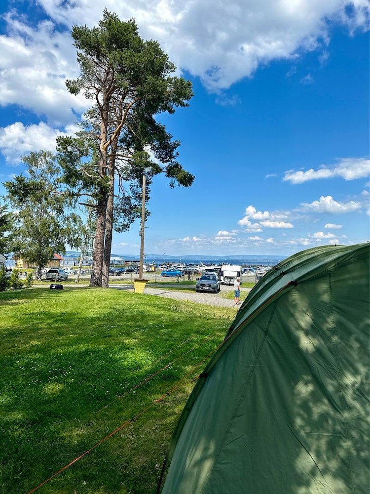 Wohnmobilstellplatz: Evjua Strandpark