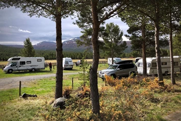 Wohnmobilstellplatz: Sjodalen Hyttetun og Camping