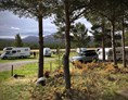 Wohnmobilstellplatz: Sjodalen Hyttetun og Camping