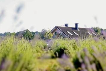 Wohnmobilstellplatz: Lavender Village