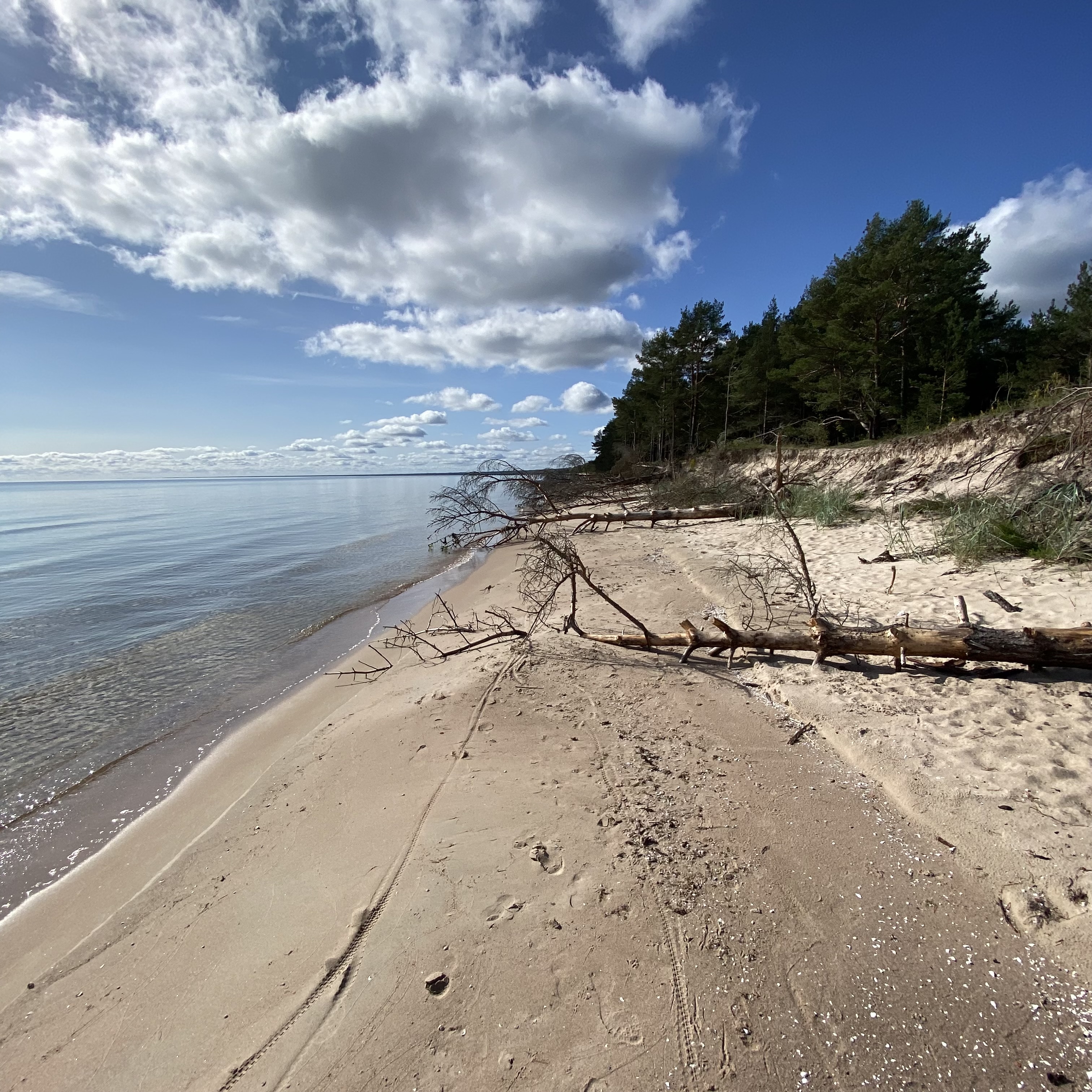 RV park - Nord Kurland - USI