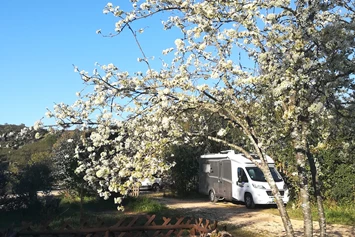 Wohnmobilstellplatz: Camperstop Messines