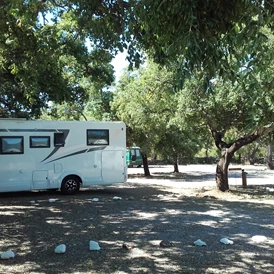 Wohnmobilstellplatz: Motorhome Ecopark São Brás de Alportel