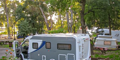Motorhome parking space - WLAN: am ganzen Platz vorhanden - Portugal - Camping pitch - Parque Campismo Monsanto