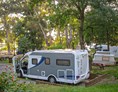 Wohnmobilstellplatz: Camping pitch - Parque Campismo Monsanto