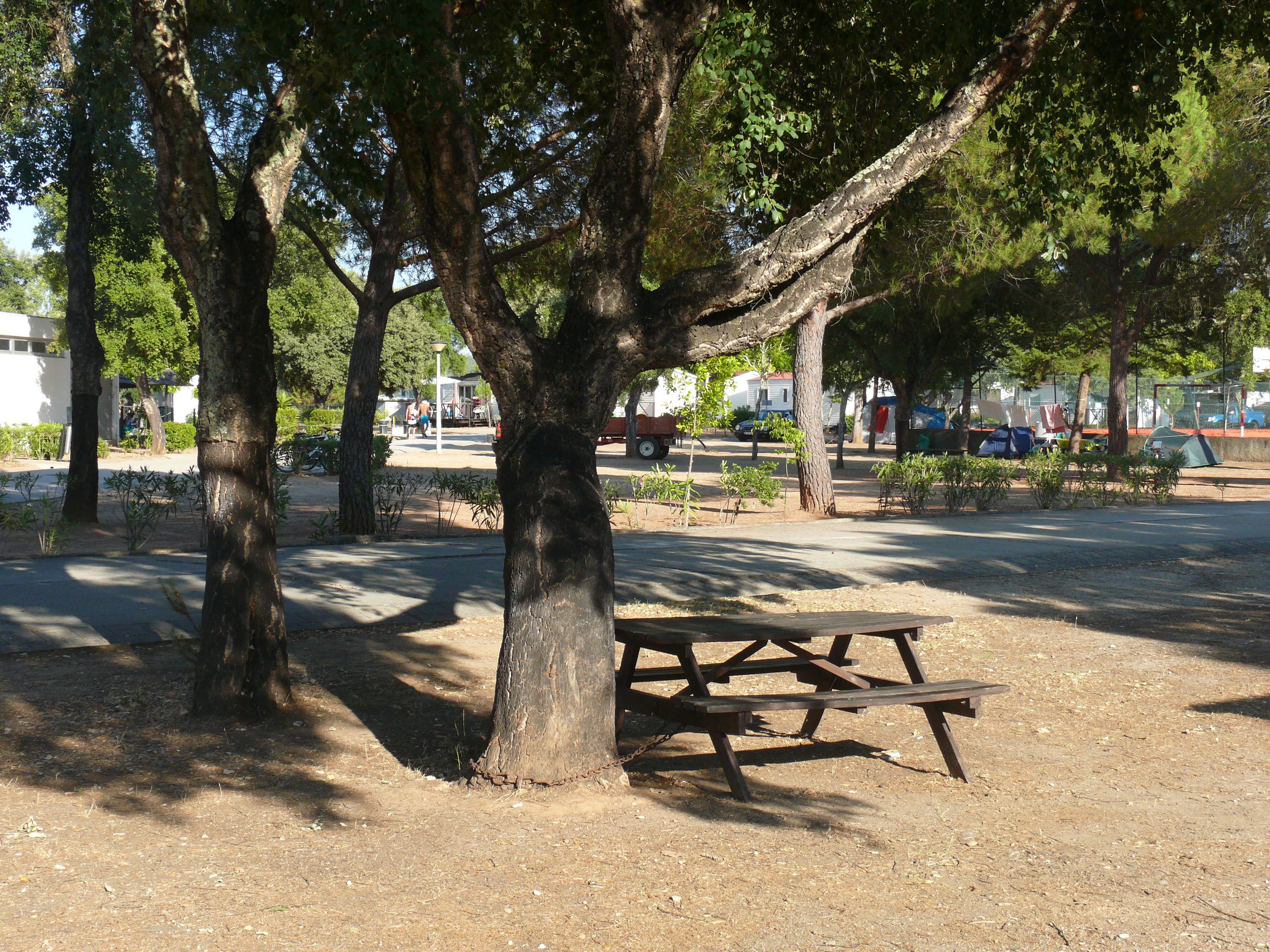 Wohnmobilstellplatz: Orbitur Montargil