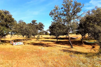 Wohnmobilstellplatz: Camping Puro Alentejo