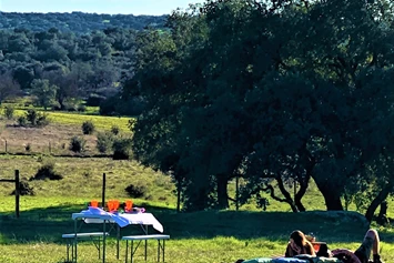 Wohnmobilstellplatz: Camping Puro Alentejo