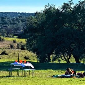 Wohnmobilstellplatz: Camping Puro Alentejo